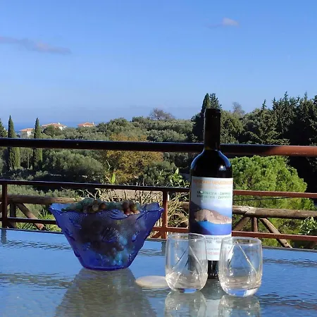 Vozas - Traditional With Great View Villa Tragaki